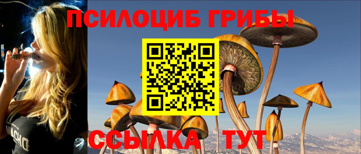 Галлюциногенные грибы Psilocybine cubensis  Вход с VPN  Галлюциногенные грибы мухоморы  дарнет шоп  Фурманов 